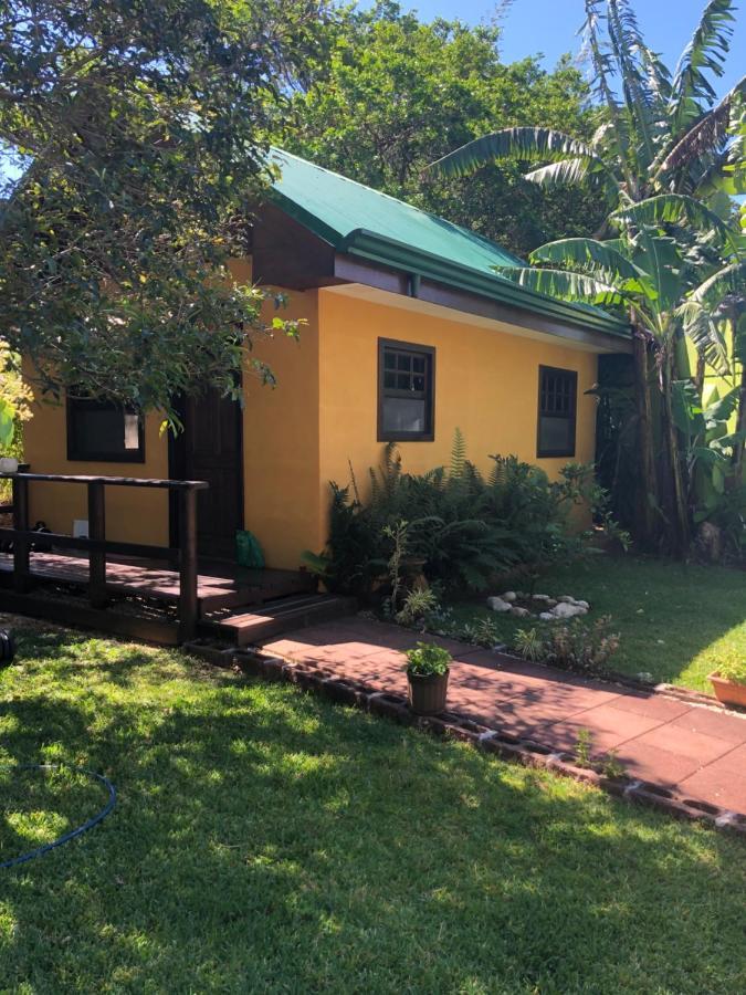 アラフエラ Airport Rio Segundo Studio Bed & Breakfast エクステリア 写真