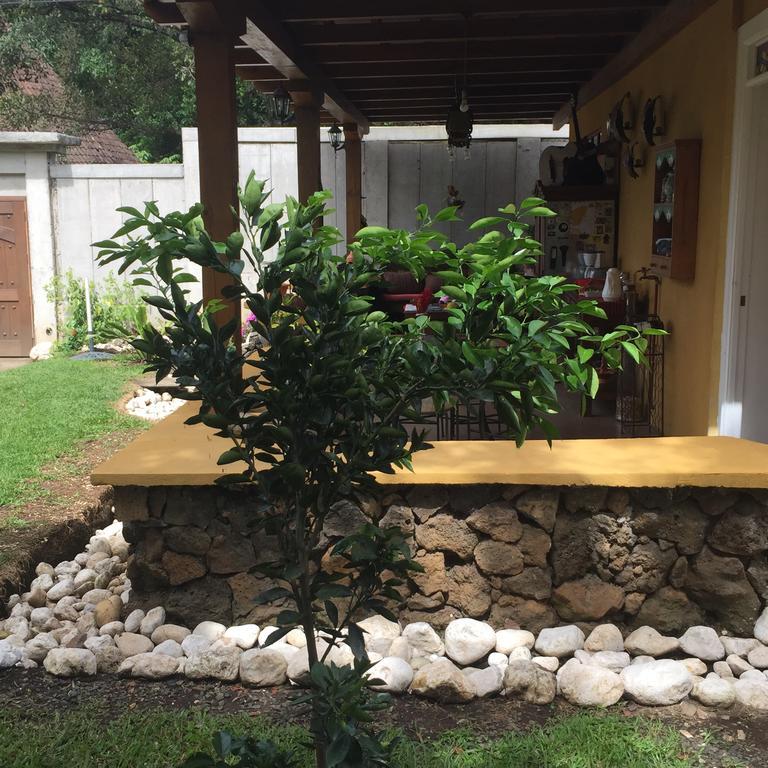 アラフエラ Airport Rio Segundo Studio Bed & Breakfast エクステリア 写真
